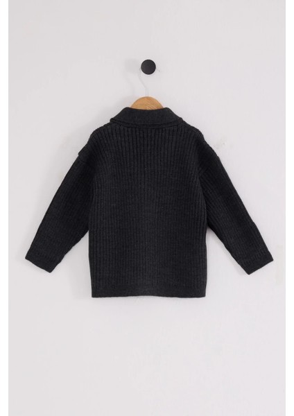 U.s. Polo Assn Bebek Hırka USB2608 Antrasit Melanj modelleri