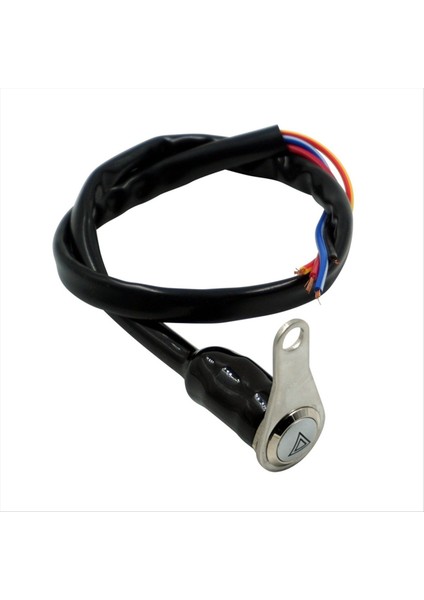 Motosiklet Anahtarı Tolbar Montaj Düğmesi 12V Iş Işığı Led&#39 De+Metal Kapalı Düğmesi Çift Flash Anahtar (Yurt Dışından) modelleri