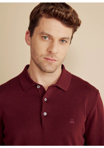 Polo Yaka Standart Bordo Erkek Kazak BBFW25MKL003 fırsatları
