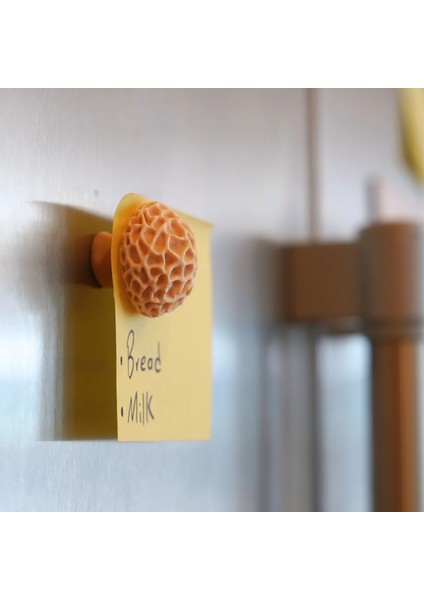 Mantar Magnet Set Iı 3'lü Paket