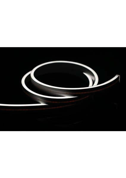 Rıshang Dış Mekan Uyumlu Hortum - 12V 6X12MM Esnek Neon LED - 1 Cm'de Kesilir - 3 Yıl Garanti - Crı > 90 modelleri