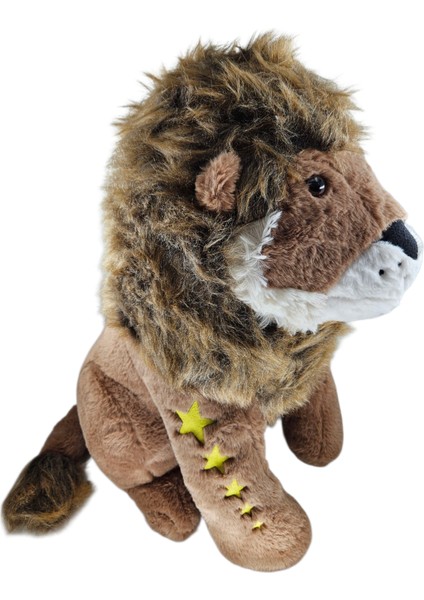 5 Yıldızlı 60 cm Aslan Peluş Oyuncak modelleri