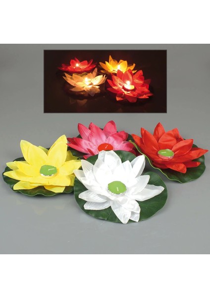 Su Feneri indirimleri