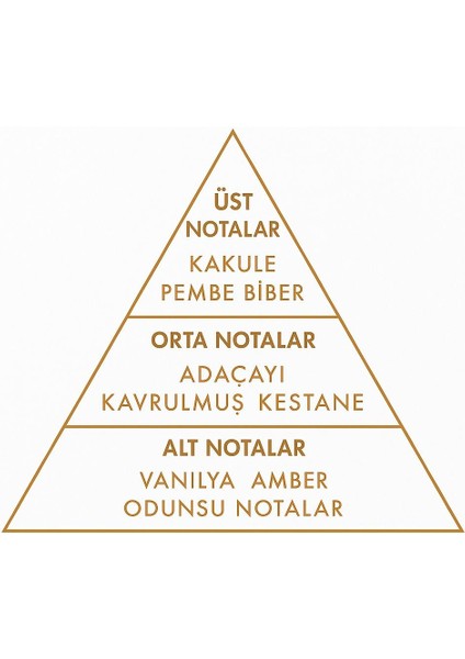 M203 & L201–Kadın&Erkek İkili Parfüm Seti – Yüksek Kalıcılık – Premium Hediye Paket – 2×50 ML