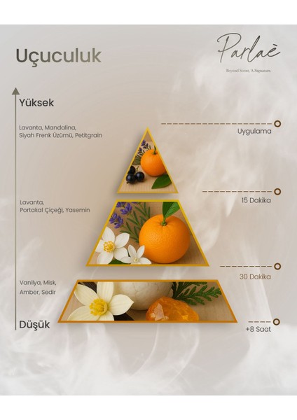 Kadın Parfüm - Favori ve Kalıcı Siyah Frenk Üzümü ve Lavanta Notaları 50 ml Parfum modelleri