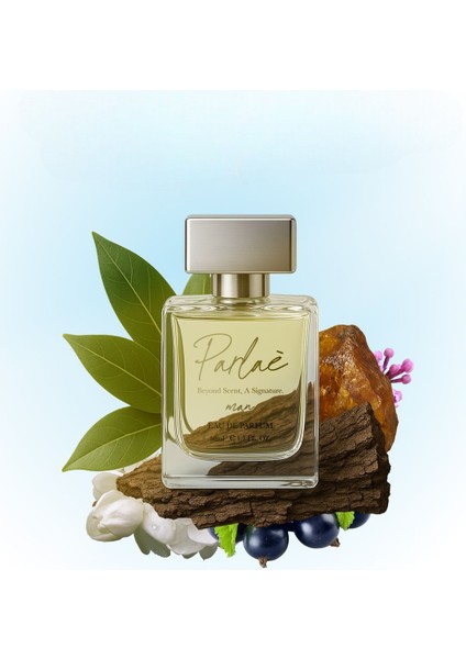 Erkek Parfüm - Favori ve Kalıcı Defne Yaprağı Okyanus Amber ve Meşe Notaları 50 ml Parfum