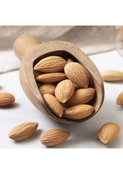 Kayısı Çekirdeği indirimleri