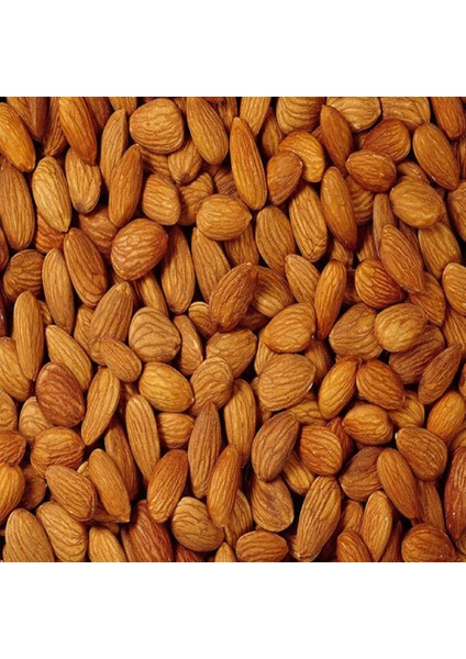 Kayısı Çekirdeği