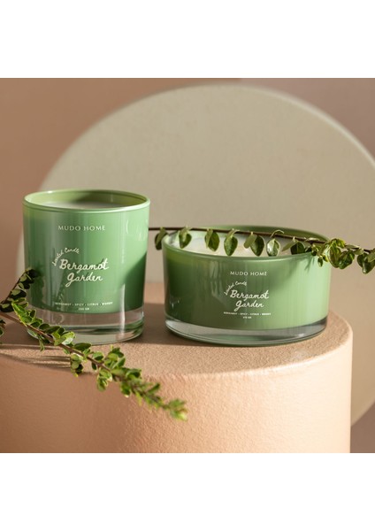 Bergamot Garden Yatay Mum modelleri