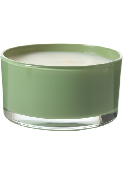 Bergamot Garden Yatay Mum