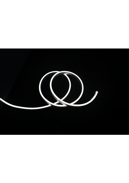 Rıshang Dış Mekan Uyumlu Hortum - 12V 6X12MM Esnek Neon LED - 1 Cm'de Kesilir - 3 Yıl Garanti - Crı > 90 fırsatları