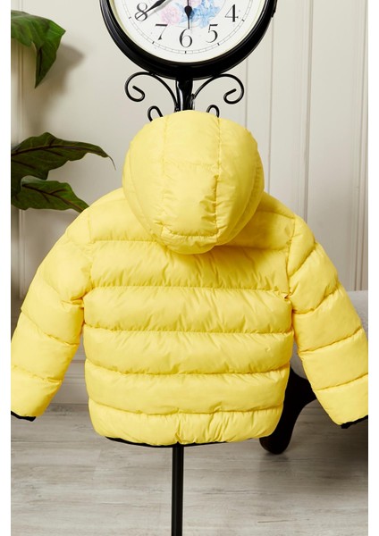 Erkek Bebek Çocuk Mont 51282 fırsatları