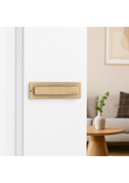 Akalı Otel Tipi Kendinden Kilitli Aynalı Kapı Kolu Antik Renk