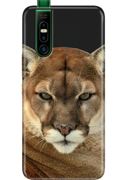 Infinix S5 Pro Kılıf Silikon Desenli Infinix S5 Pro Asil Aslan Kaplan