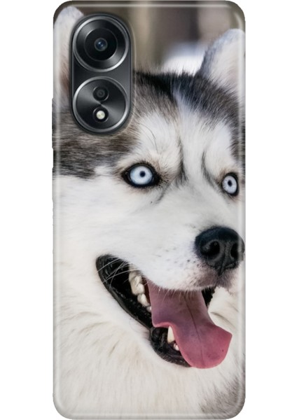 Oppo A58 Silikon Kılıf Dekoratif Silikon Baskılı A58 Kapak My Hasky