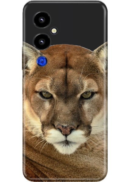 Tecno Pova 4 Pro Uyumlu Kılıf Silikon Desenli Resimli Kapak Asil Aslan Kaplan
