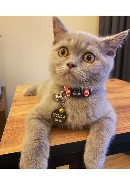 Kedi Şeklinde Bronz Köpek Isimliği / Künyesi