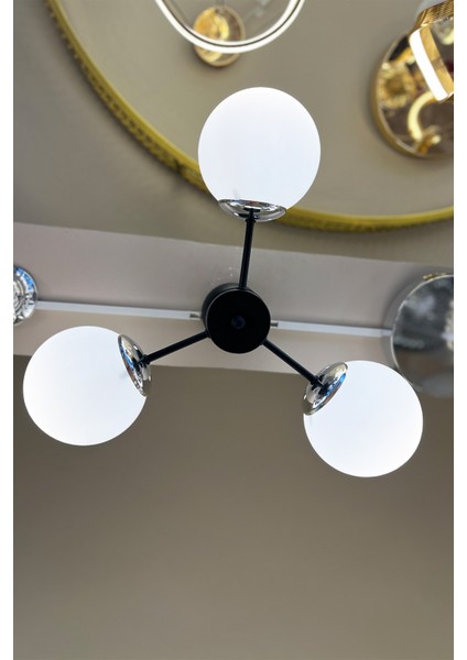 Globe Black & Silver TRİO Beyaz Cam Avize modelleri