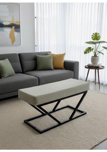 Todekhome Dublin Bank Sandalye Puf Bench Bej