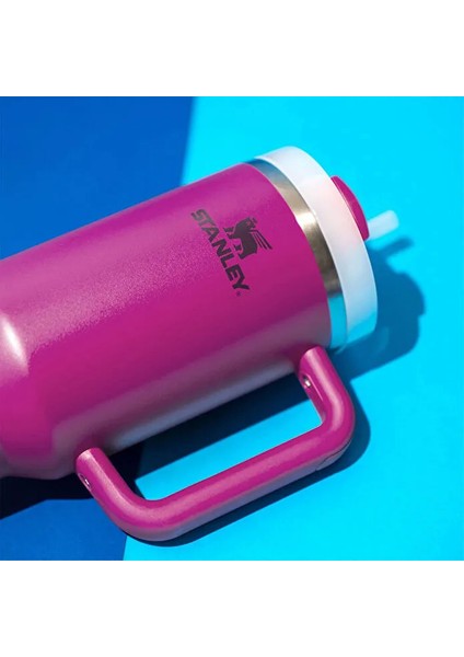 1.18L The Quencher H2O Flowstate Pipetli Termos Bardak indirimleri