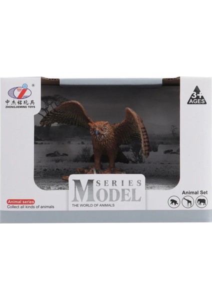 Buğz Kutulu Model Figür Hayvan Baykuş modelleri