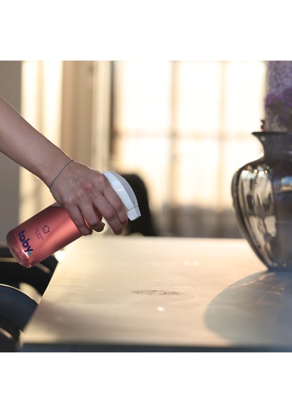 Çok Amaçlı Temizleyici Başlangıç Seti