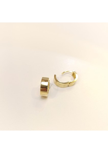 13MM Klasik Ray Halka Küpe 14 Ayar Altın Hd Videolu fiyatları