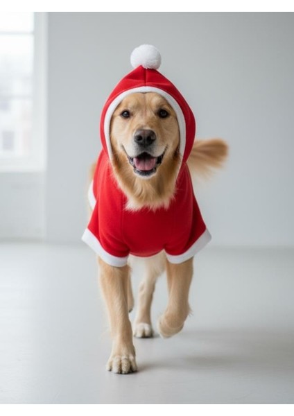 Santa Bow Kırmızı Yılbaşı Köpek Kıyafeti | Noel Baba Kapüşonlu Polar Sweatshirt | Orta ve Büyük Irklar Için indirimleri