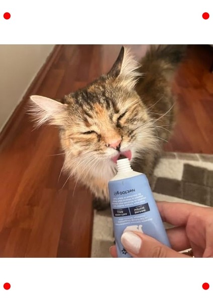 Kedi Tüy Yumağı ve Bağışıklık Destekleyici Malt Macun 100G fırsatları