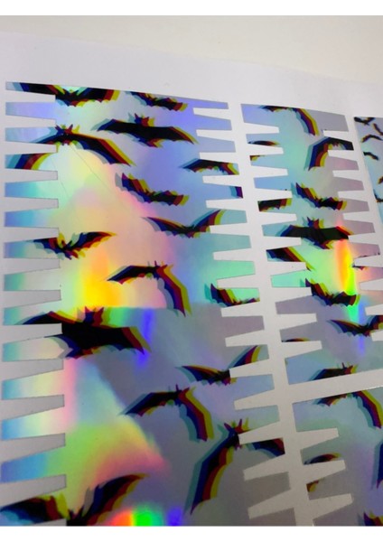🦇 3D Hologram Yarasa Sticker Seti – 13 Parça Bisiklet Sticker Seti