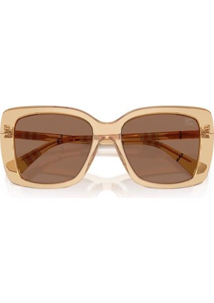 BE4456 4167/73 54 Güneş Gözlüğü modelleri