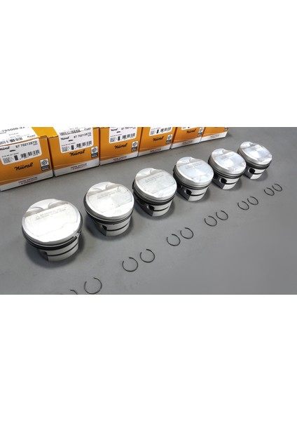 6 x Bmw E36 90-98 320I M52 B20 Piston Segman Seti Std Nüral fiyatları