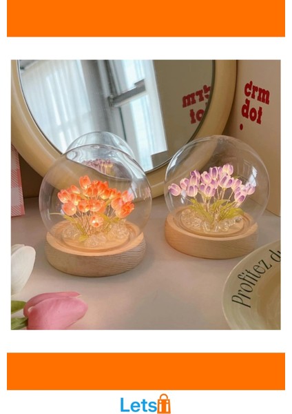 LED Işıklı Kendin Yap Lale Cam Küre fırsatları