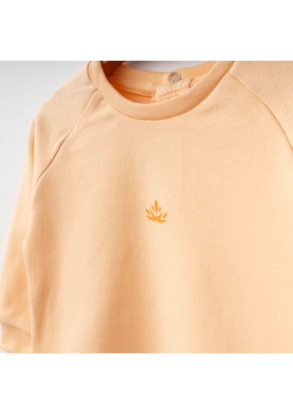 %100 Organik Pamuk Gots Sertifikalı Bebek Sweatshirt fiyatları