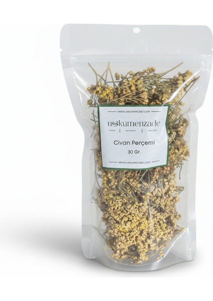 Civan Perçemi, Achillea Millefolium Üskümenzade Civanperçemi
