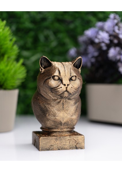 British Shorthair Kedi Büst Heykel – El Yapımı Dekoratif Figür 12CM – Masa Üstü Biblo