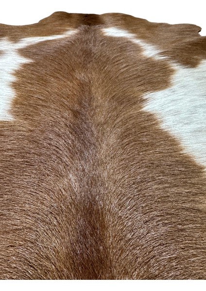 %100 Hakiki Dana Derisi Post Halı – Kahverengi-Beyaz (51X64 Cm) modelleri