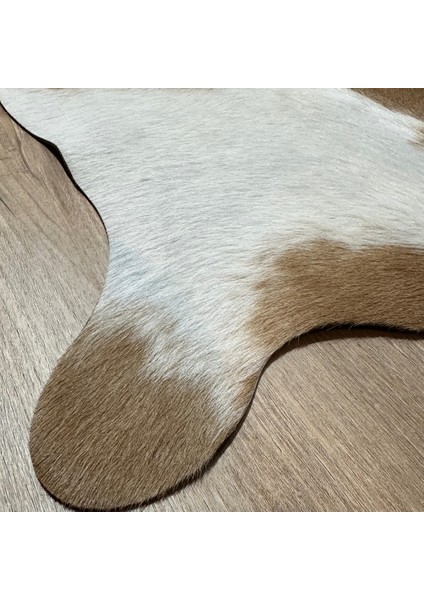 %100 Hakiki Dana Derisi Post Halı – Kahverengi-Beyaz (69X69 Cm) modelleri