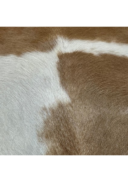 %100 Hakiki Dana Derisi Post Halı – Kahverengi-Beyaz (69X69 Cm) fırsatları
