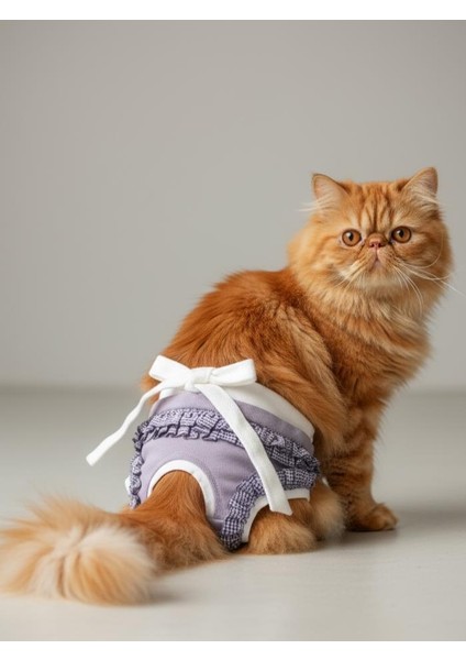 Princess Lila Dişi Kedi Regl Külotu | Kedi Donu | Kedi Iç Çamaşırı | Ayarlanabilir Bağcıklı | Küçük Irklar Için