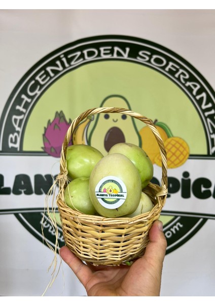 Pepino Meyvesi (2 Adet)