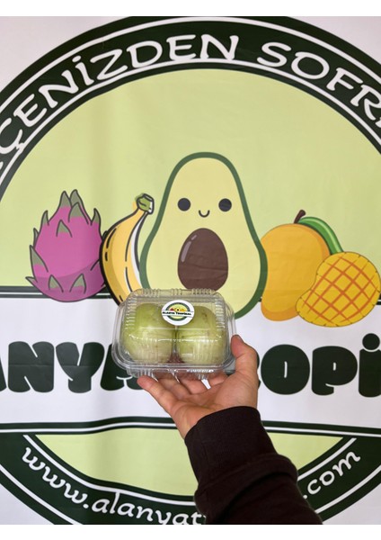 Pepino Meyvesi (2 Adet) fiyatları