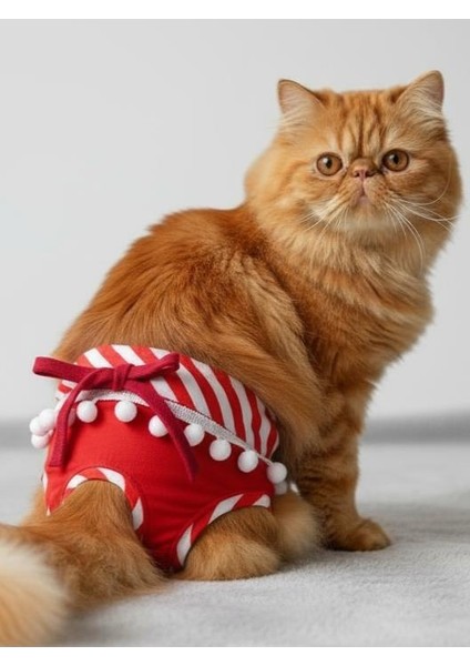 Frilly Red Dişi Kedi Regl Külotu | Kedi Donu | Kedi Iç Çamaşırı | Ayarlanabilir Bağcıklı | Küçük Irklar Için