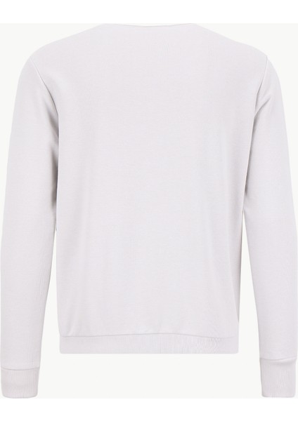 Bisiklet Yaka Açık Gri Erkek Sweatshırt ACE052261047_AGR fiyatları