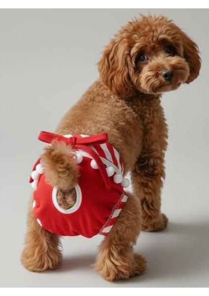 Red Frilly Dişi Köpek Regl Külotu | Köpek Donu | Köpek Iç Çamaşırı | Ayarlanabilir Bağcıklı | Küçük Irklar Için