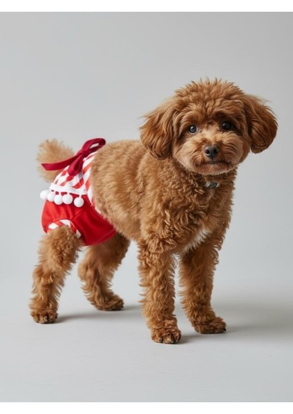 Red Frilly Dişi Köpek Regl Külotu | Köpek Donu | Köpek Iç Çamaşırı | Ayarlanabilir Bağcıklı | Küçük Irklar Için indirimleri