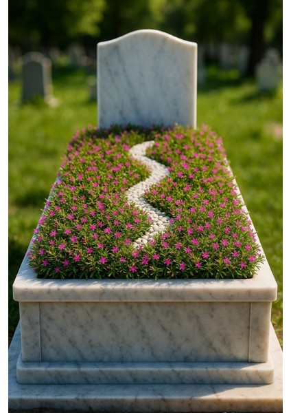 MEZAR - KABİR BİTKİ SETİ - 10 ADET CENNET ÇİÇEĞİ KUFEYA + 20 KG D fiyatları