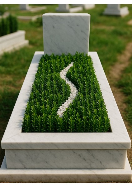 MEZAR - KABİR BİTKİ SETİ - 10 ADET YEŞİL TAFLAN GREENSPİRE 25-30 indirimleri