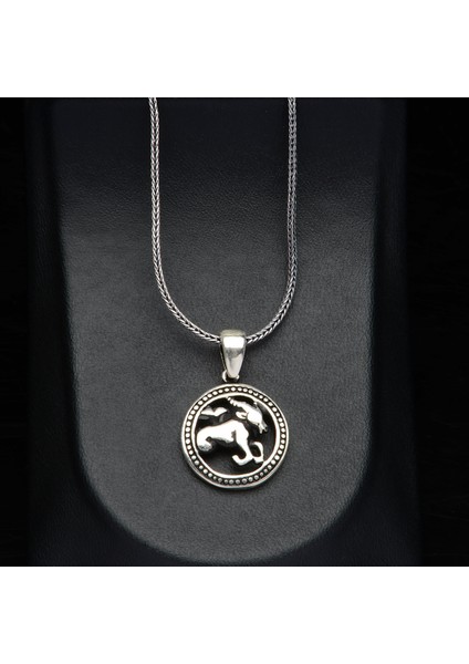 598 Oğlak Burcu Gümüş Kolye fiyatları