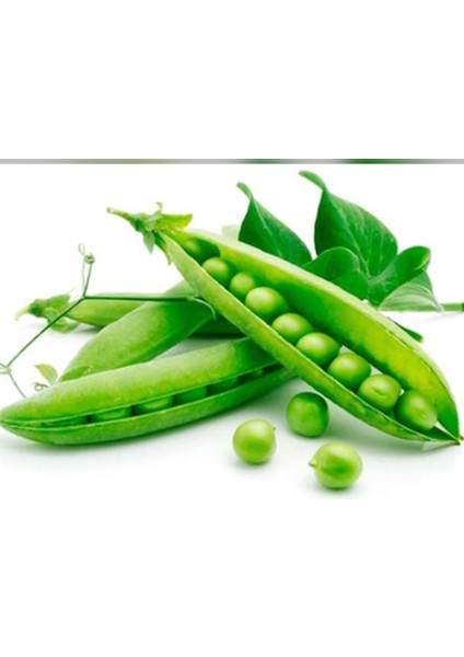 Yerli Iri Tane Bezelye Tohumu (Ilaçlı) 500 gr